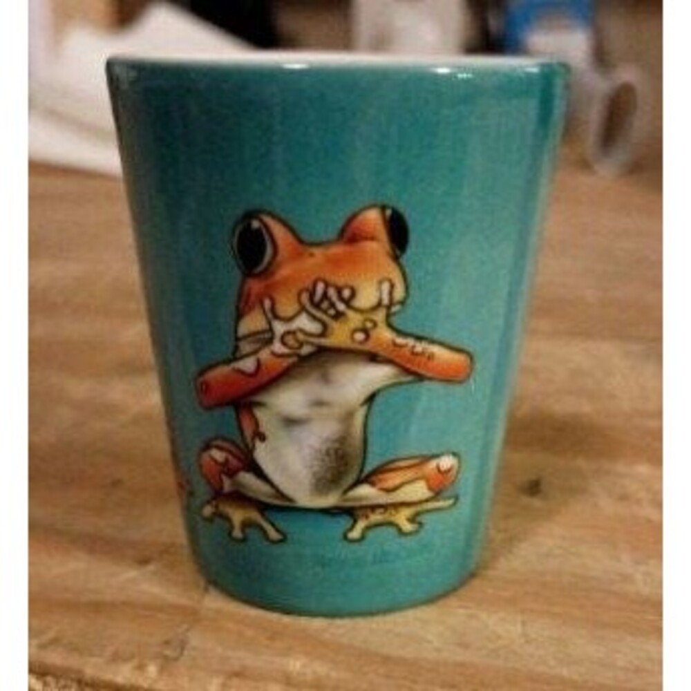 NC AQUARIUM FROG Shot Glass, Souvenir Shot Glasses, State Souvenir Glasses, #6
